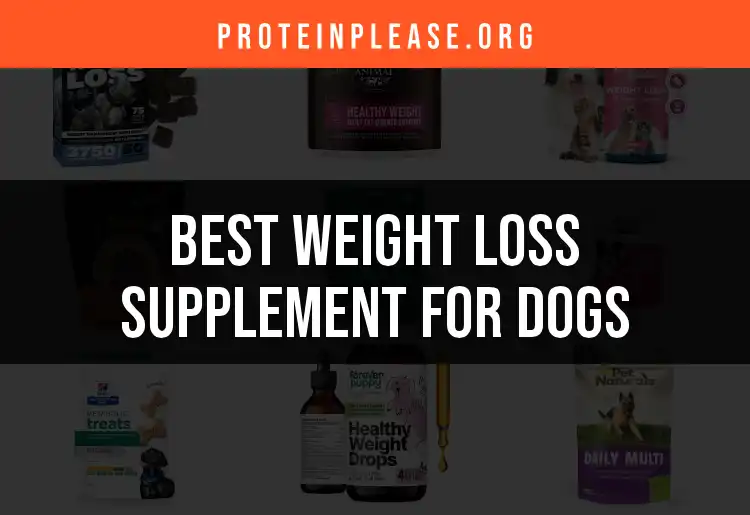 16 Best Weight Loss Supplements for Dogs to Watch
featured